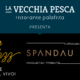 La Vecchia Pesca LIVE Spandau Ballet Tribute Band | Venerdì 11 Novembre